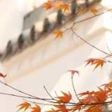 湘江文艺丨欧阳华丽：换手气