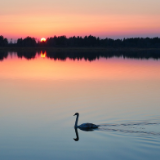 创作·诗歌丨李元胜：发光的悬梯