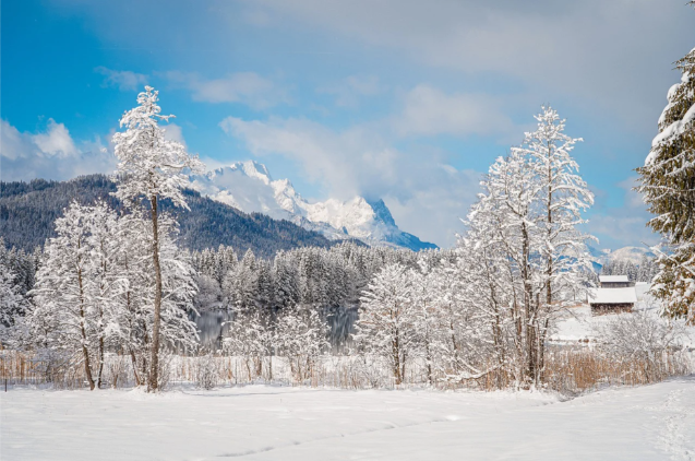 诗词丨张毅龙:年关将近赋辞章,倚栏观雪乡