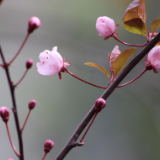 诗歌丨欧阳斌:回友人:在星城水乡,我已选好了十个学习对象(组诗)