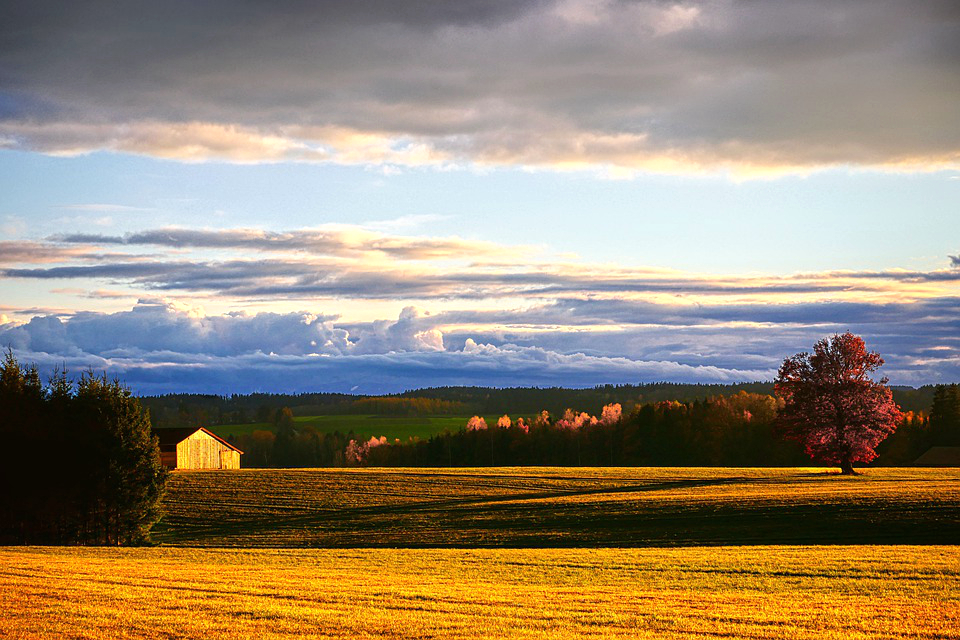 landscape-7605291_960_720.jpg
