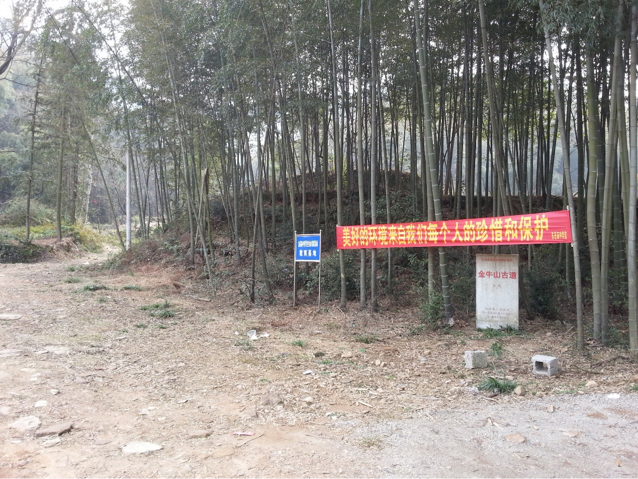 图片10.png