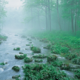 行吟诗刊丨张家界:山水镌刻爱的印记