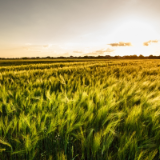 专栏丨胡代松:秣马厉兵驱鬼魅,枕戈待旦披星月