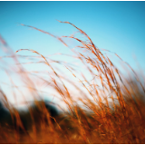 民间文艺丨蒋世平:接力爱