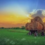 湘江文艺丨柴棚:在诗中怀揣一枚楚国的橘子和他告别