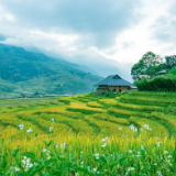 访谈：一方山水的自然灵性，一条时间河流的交相辉映