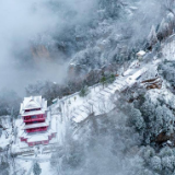 行吟诗刊丨张裕亮：半夜被一场月光的雪唤醒