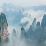 行吟诗刊丨刘双红：路人，我要让你做最奢侈的访客
