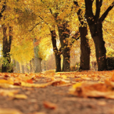 芙蓉·小说丨蒋一谈：一日泥泞