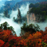 行吟诗刊丨苏雨景：借着秋风，我拿起了诗句的刻刀