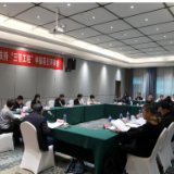 湖南省文艺人才扶持“三百工程”项目评审会召开