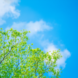 随笔丨田新艳：看见更大的世界