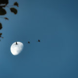 散文丨胡博：阴阳月