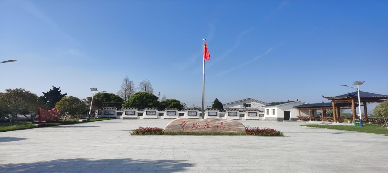 图片3.png