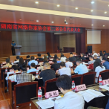 组图丨湖南省网络作家协会第二届会员代表大会在长沙举行