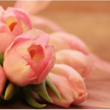 散文丨清风：母亲今年九十七