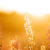 2008年汶川地震期间,我给儿子写了一封信