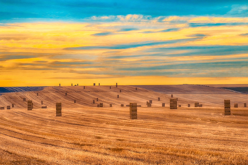 landscape-5062236_960_720.jpg