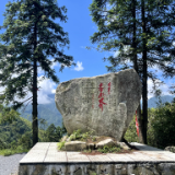 散文丨范诚：野茶的故乡