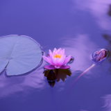 芙蓉·小说丨颜桥：超体也想谈恋爱