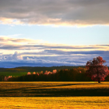 李少君：从自然到生态，中国诗歌经历了什么？