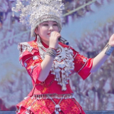 “苗歌之恋”大型民族文艺公益展演活动洞口首站举行