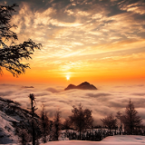 散文丨陈文双：风中有声