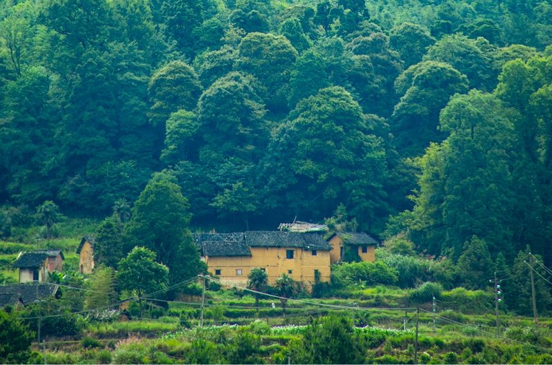 5d089ecdaf31c_副本.jpg