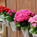 礼赞新时代 争当好少年丨李子扬:我们是新时代的幸运儿