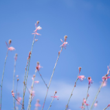 礼赞新时代 争当好少年丨彭致融:看看,新时代的颜色