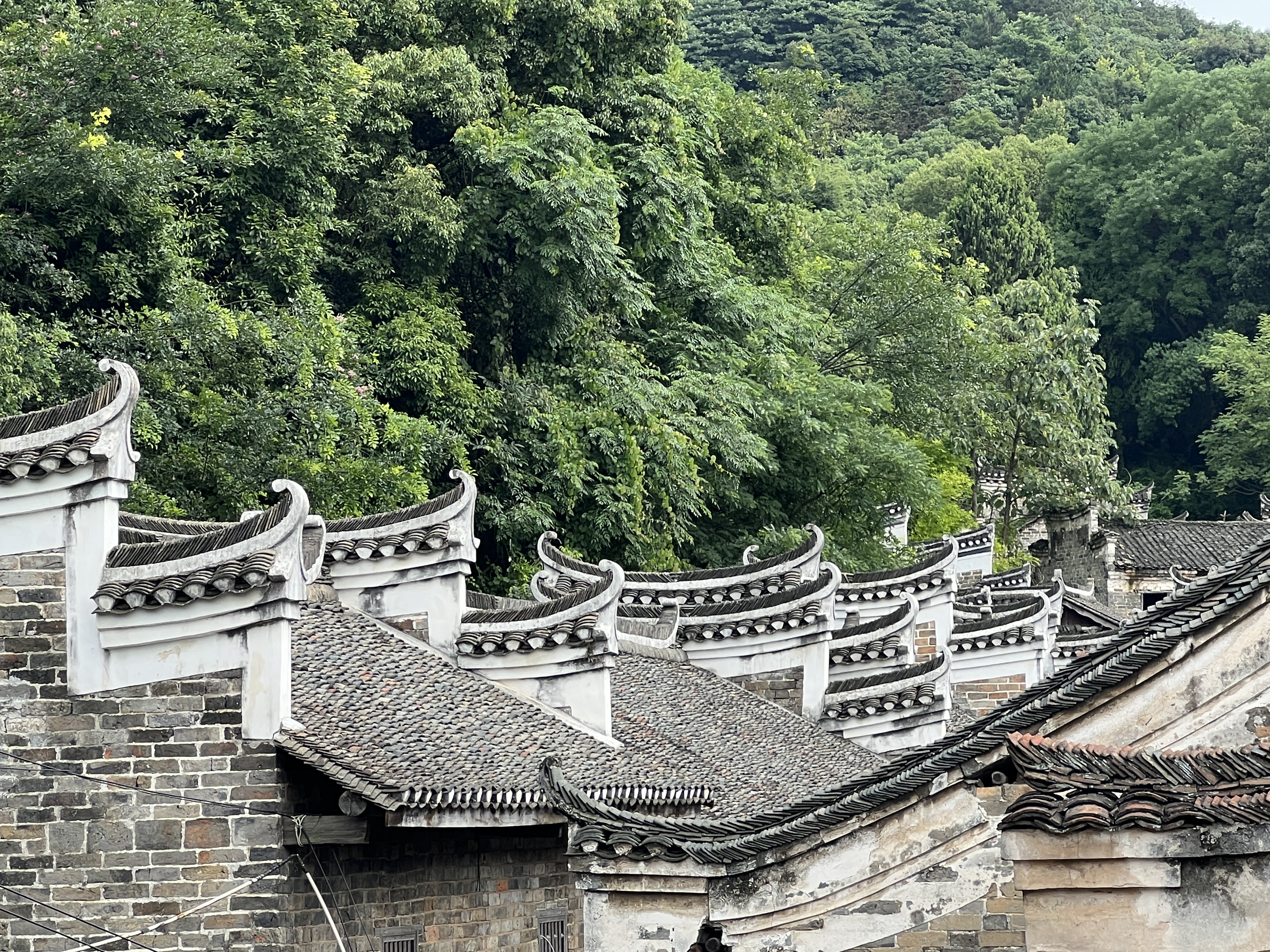 微信图片_20230613093257.jpg 微信图片_20230613093257.jpg