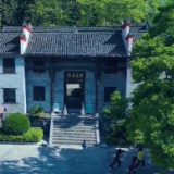 散文丨张亦斌:书院里的树