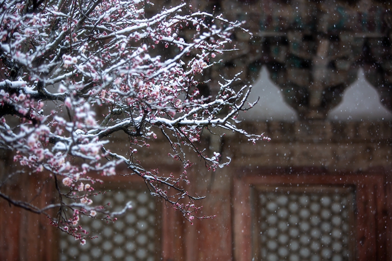 _A3A9625-2_副本.jpg _A3A9625-2_副本.jpg