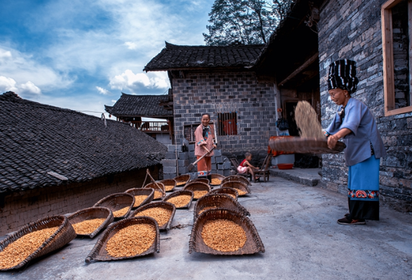 优秀作品丨彭运华:《古寨人家》《阿婆的笑容》《张家界二月二农耕民俗文化节》