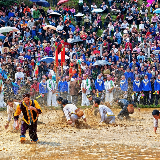 铜奖作品丨赵敏：《欢乐池塘》