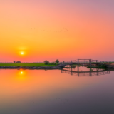 湘江文艺丨苏迅：寂灭（中篇小说)