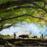 湘江文艺丨梦天岚：故乡·异乡