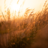 小小说丨刘绍英：渔鼓