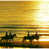 小小说丨戴希：特别赏赐