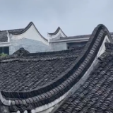 散文丨肖辉跃：古村与金腰燕