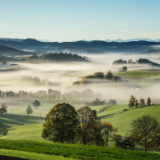 湘江文艺丨周齐林：行走的木头