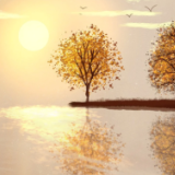 文艺论坛丨赵稀方:汤俏之于方法