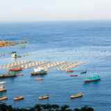 文艺论坛丨卢桢：域外风景对早期新诗节奏的激发