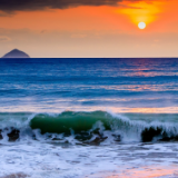 诗歌时刻丨杨碧薇：我不能同你在任何一座城市的广场上喂鸽子