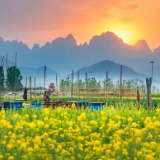 诗歌时刻丨诗燕：菜畦里一剪青韭的辣香，让旧事依然若蝶