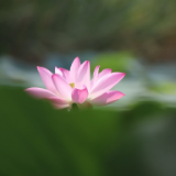 礼赞新时代 争当好少年丨邓皓荣:传承红色基 争做时代新人