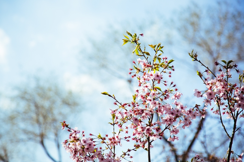 5c9900ed0e152_副本.jpg