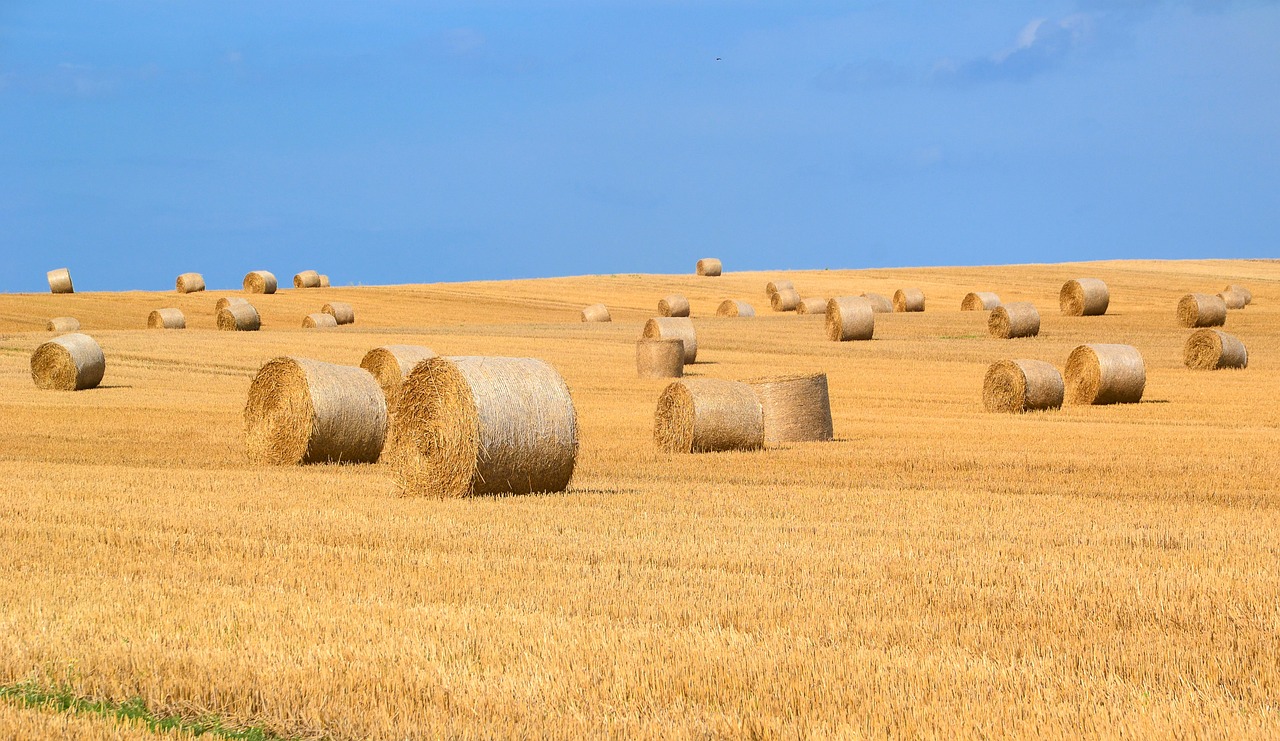 hay-bales-1930612_1280.jpg