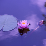 诗歌时刻丨许百经：蹒跚的母亲，像一位登高瞭望的菩萨